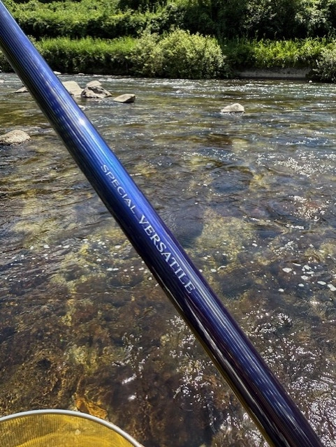 和良川鮎釣り 渇水には深場の泳がせ釣りが優位！ | 釣具のイシグロ